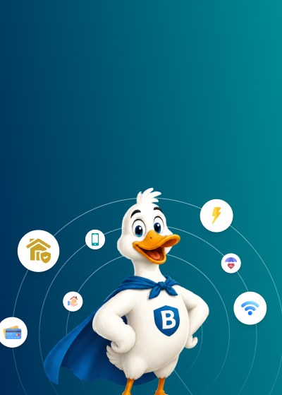 BillGoose household comparison banner
